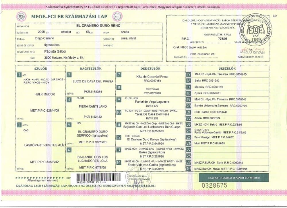 EL CRANERO DURO RENO 1