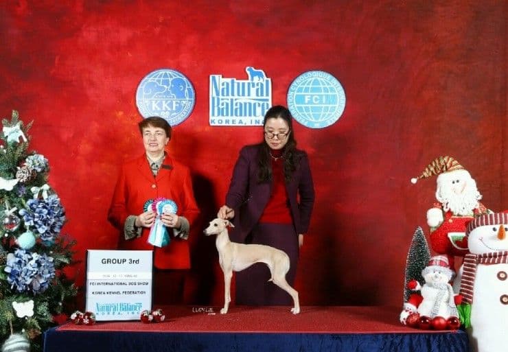 House of Hounds Renesmee 1