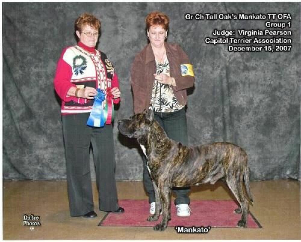 TALL OAK'S MANKATO 1