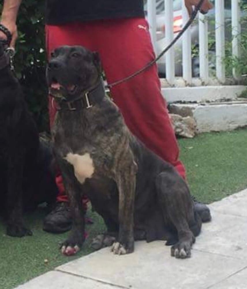 JIMENA DE KING ZULU 1