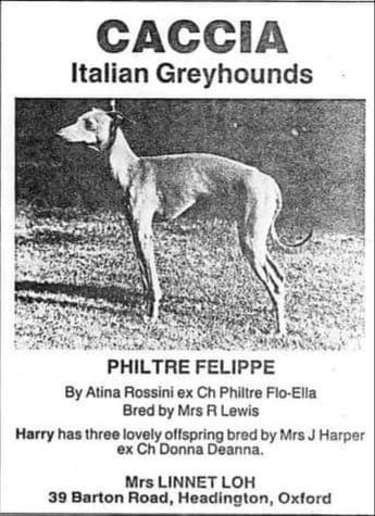 Philtre Felippe 1
