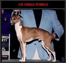 Johma Pueblo Of Marchwind 1