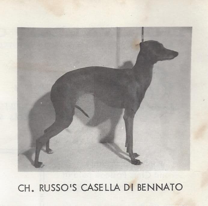 Russo's Casella Di Bennato 1