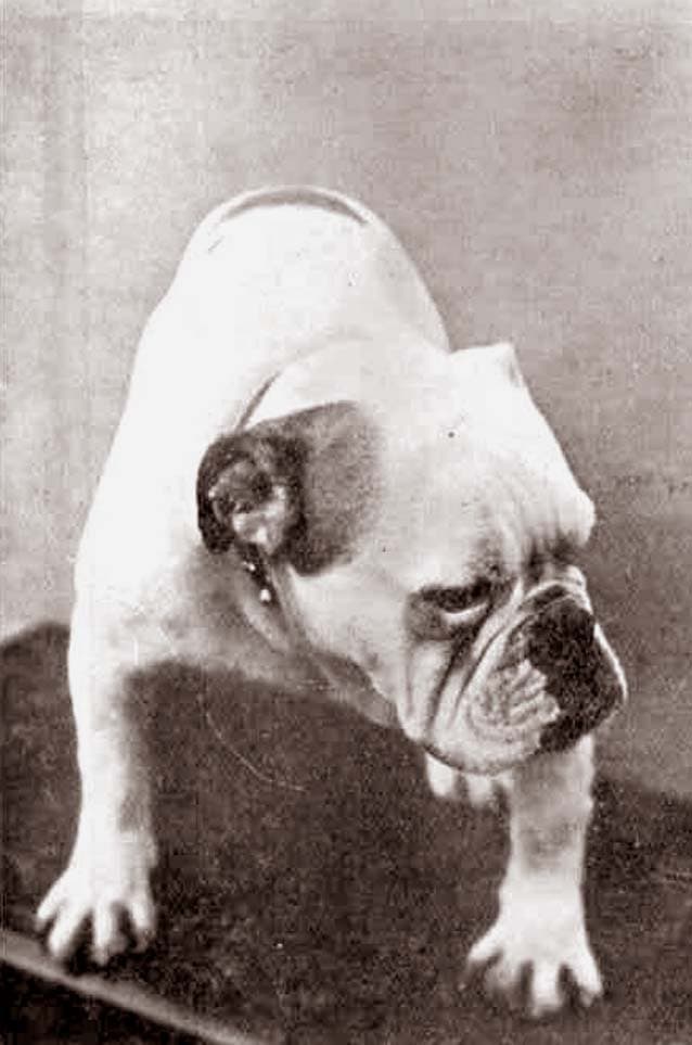 Dick Swiveller