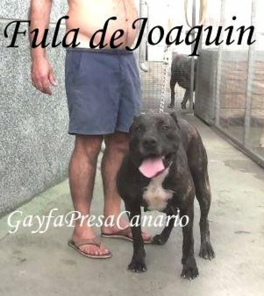 FULA DE GAROE 1
