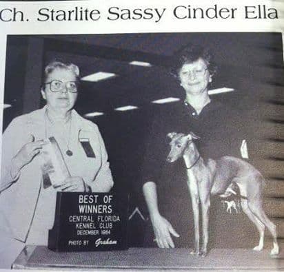 Starlite Sassy Cinder Ella 1