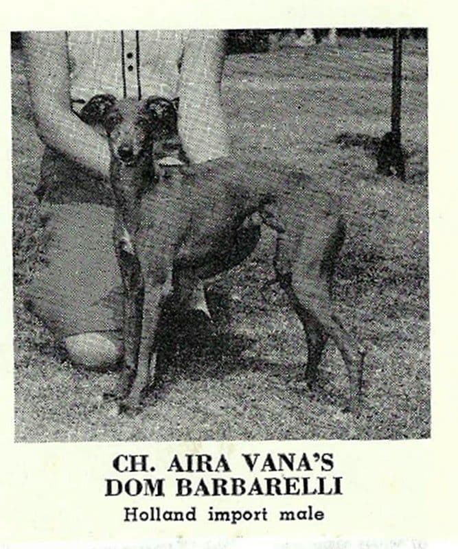 Aira Vana's Dom Barbarelli 1