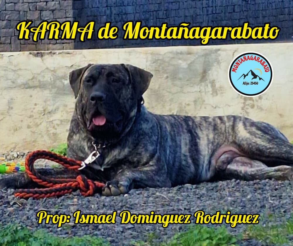 KARMA DE MONTANAGARABATO 1