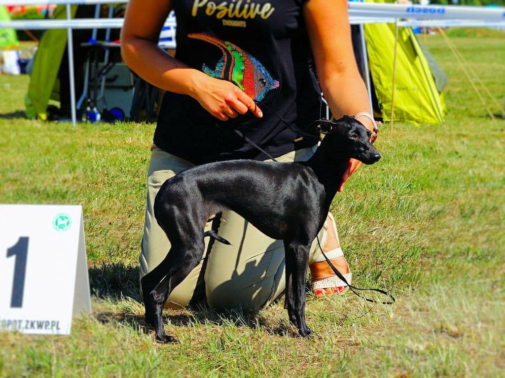 Black Baraka Namaste 1