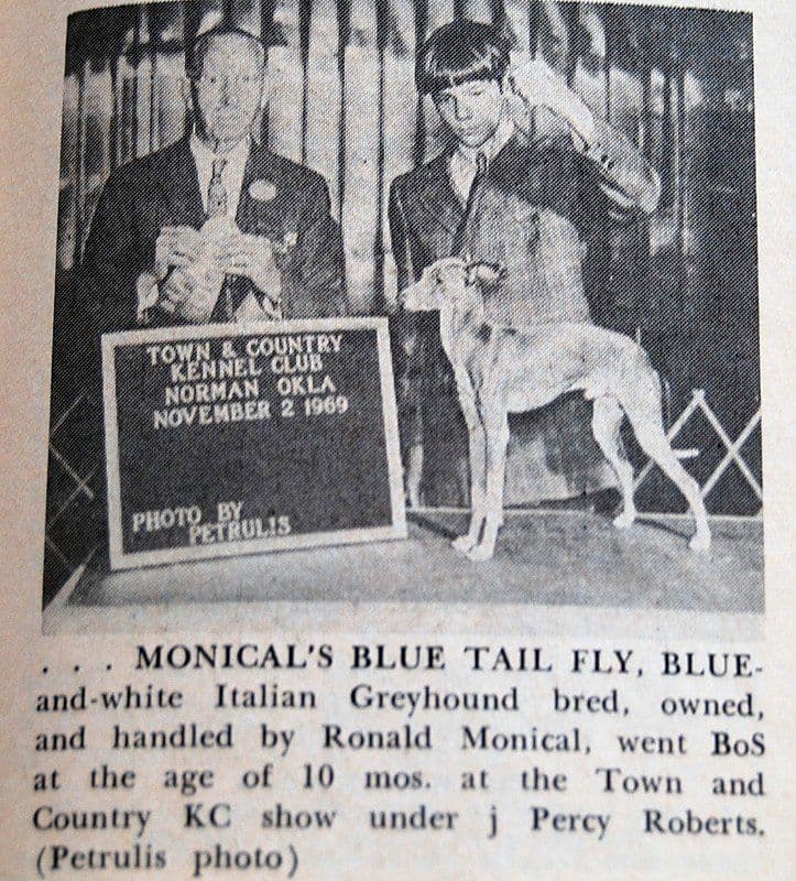 Monical Blue-Tail-Fly 1