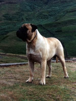 BRINSCALL BARNABY 1