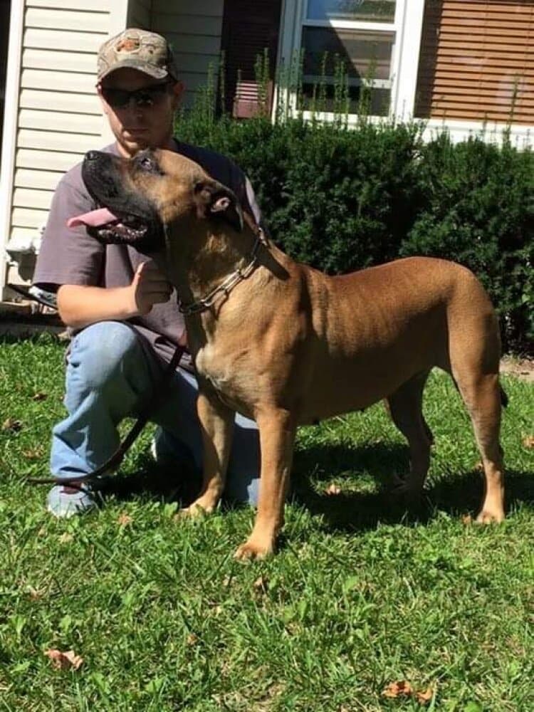 MID AMERICA K-9 PRESHA 1