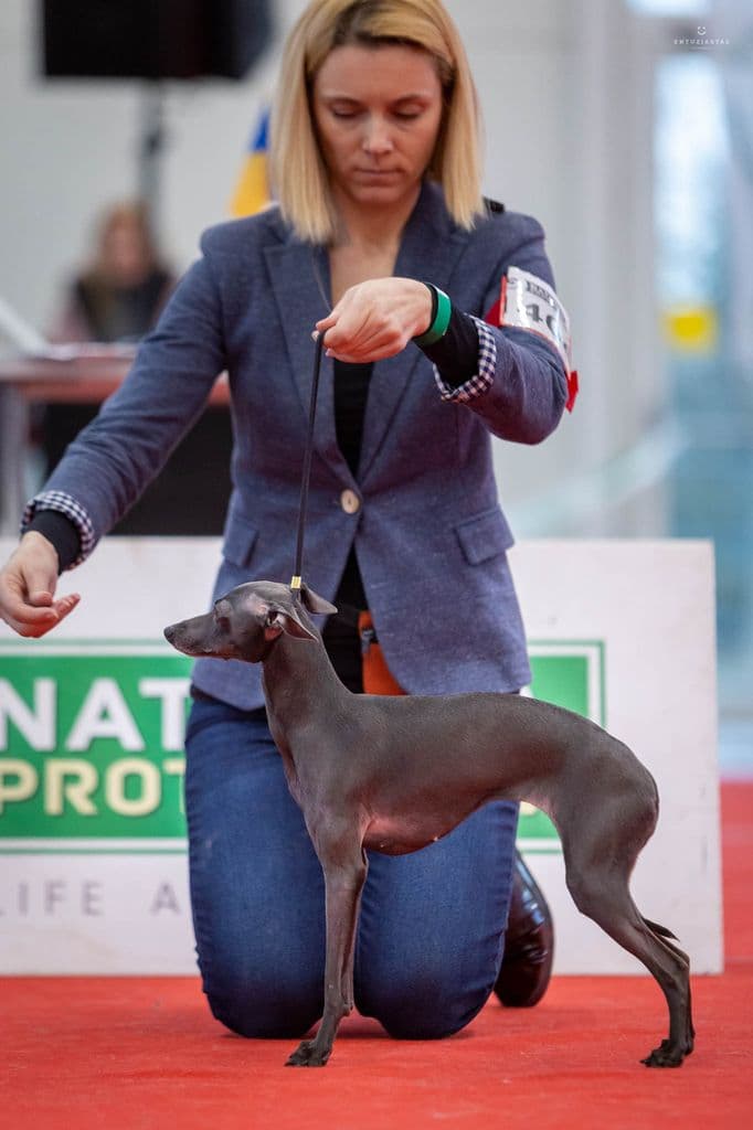 Etta Kopos Namai 1