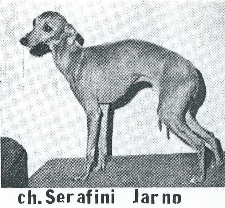 Serafini Jarno 1