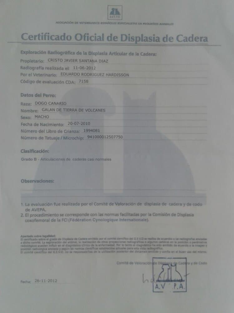 GALAN DE TIERRA DE VOLCANES 1