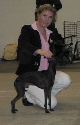 Il Cagnolino Genghis Khan 1