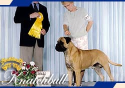 BULLSTOCK TUCKER OF KNATCHBULL 1