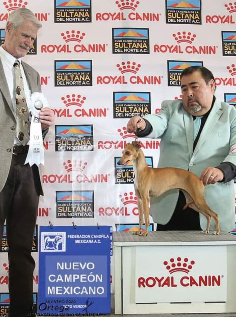 Quitela Zenteno 1