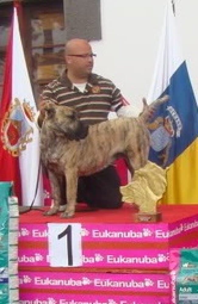 TENISCA DE CIELO DE CANARIAS 1