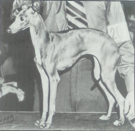 Padre Alpha Joh-Cyn 1