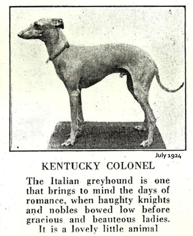 Kentucky Colonel 1