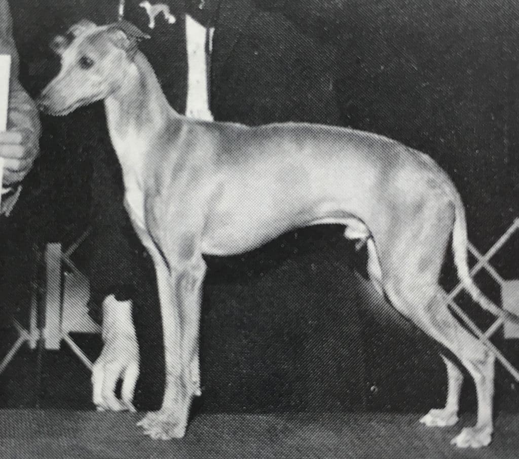 Cantell's Del Merriam 1