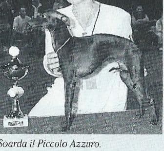 Soarda Il Piccolo Azzuro 1
