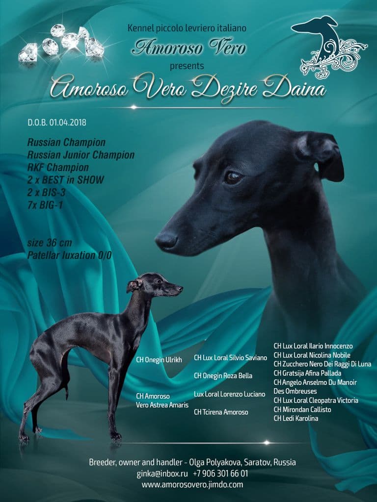 Amoroso Vero Desire Daina 1