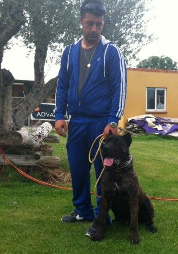 ZEUS I DE KING ZULU 1