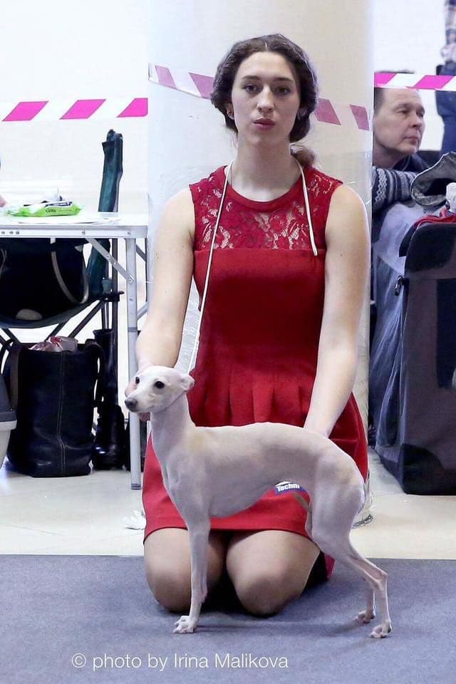 Tieris Pandora Prima Bella 1