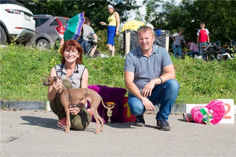Neutomimaya Varvara Iz Ozherelia 1