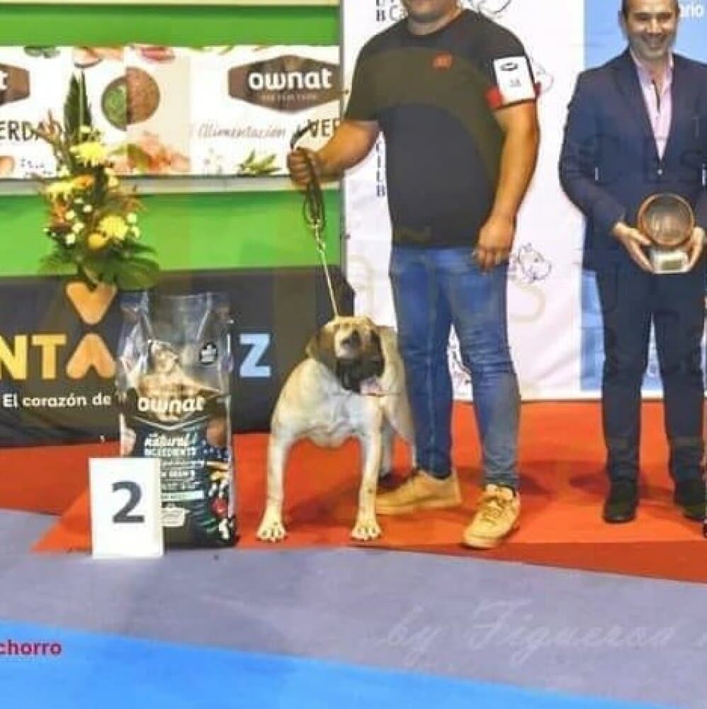 KEILA CANARIKENNEL 1