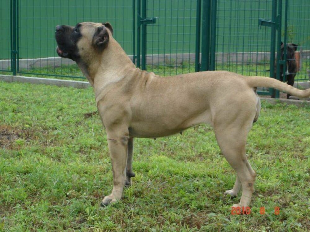LUNA DE VILLA ALESIA (ANGIE) 1