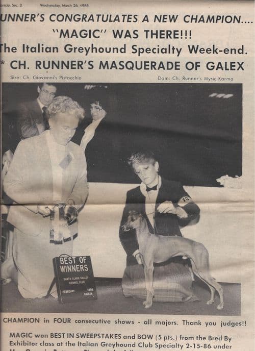Runner's Masquerade Of Galax 1