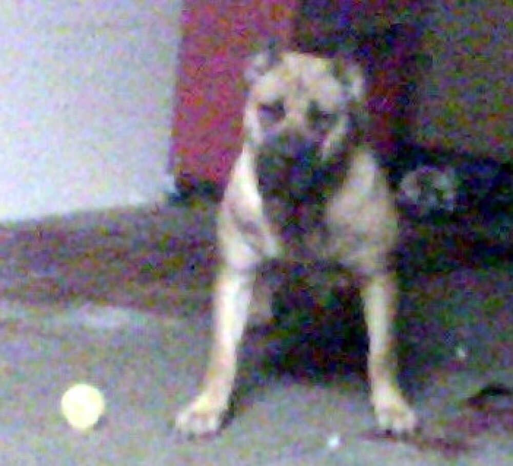 REYNA (9 TO 5) 1