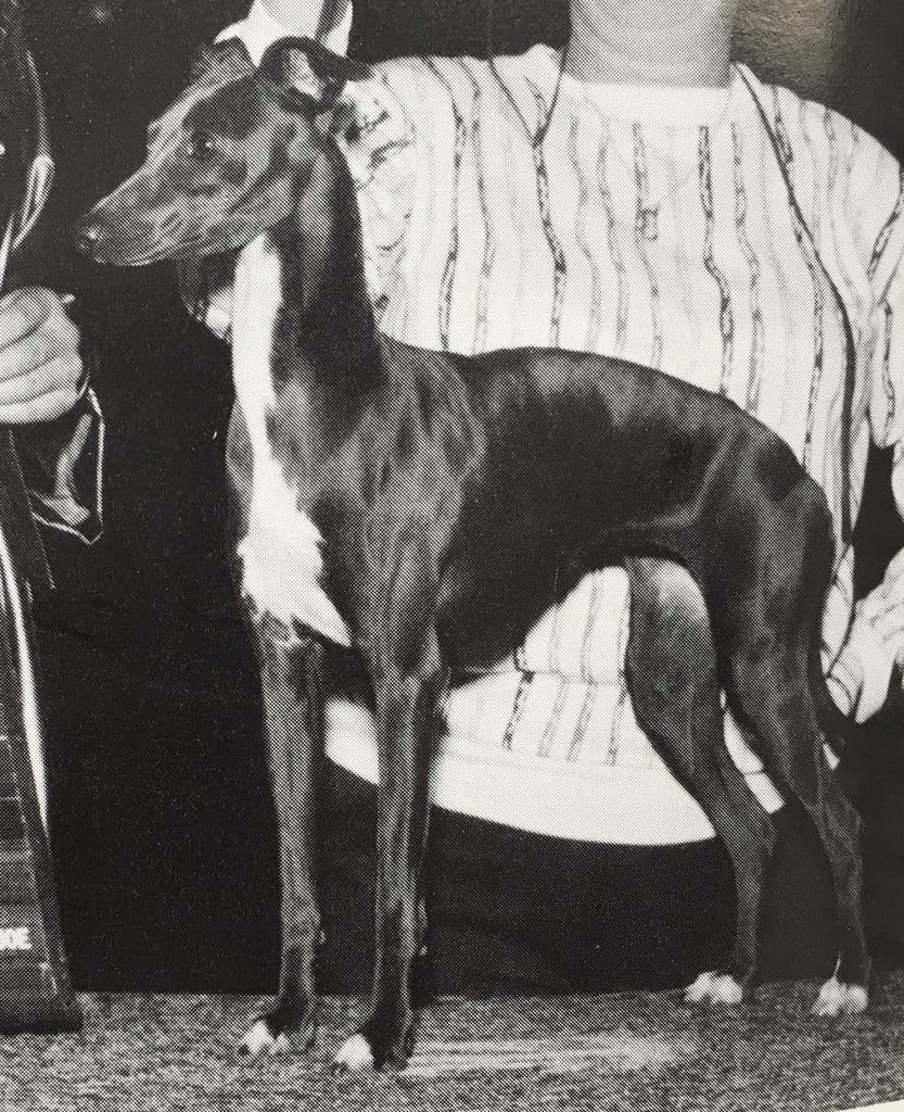 Pikop's Fashion Plate 1