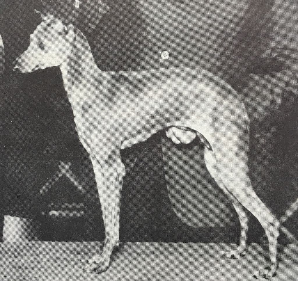 Carita Of Finstock 1