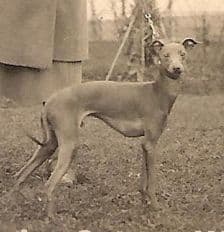 Claus Von Der Ostsee 1