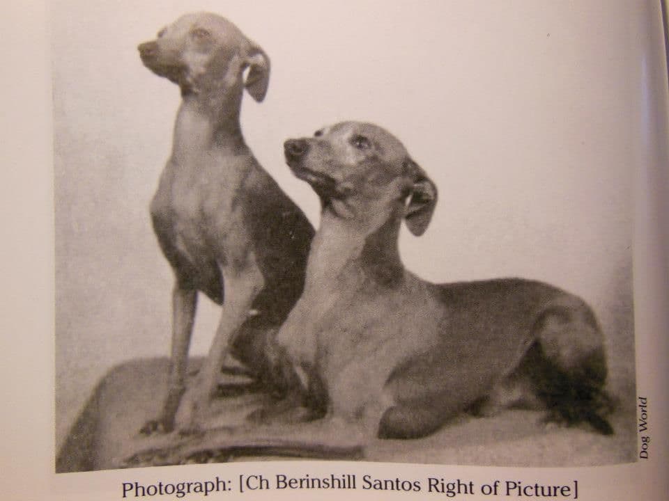 Berinshill Santos 1